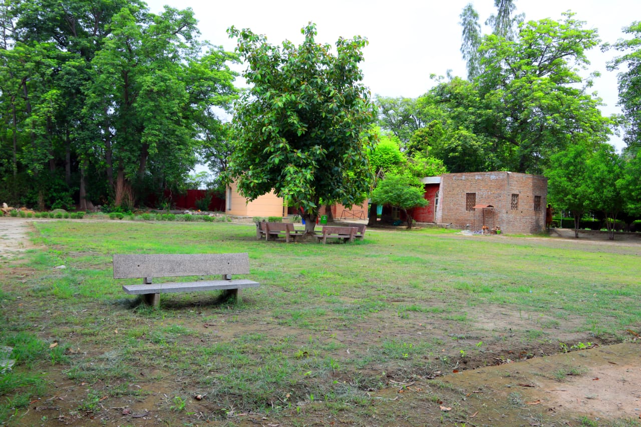 College Gallery Image